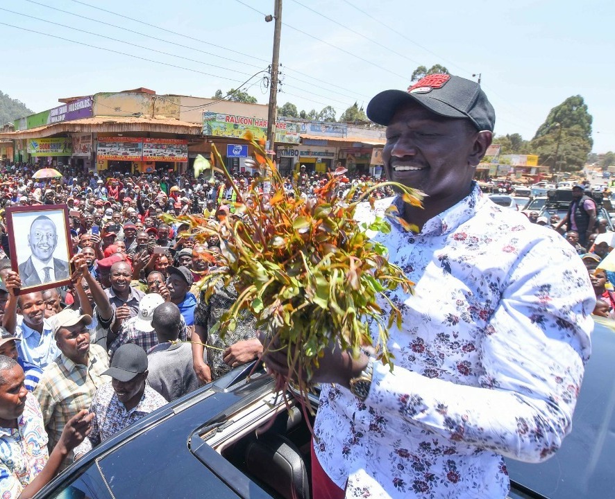 File image of President William Ruto with Miraa.